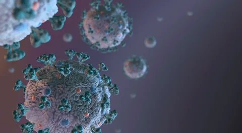 Crocontrol image placeholder